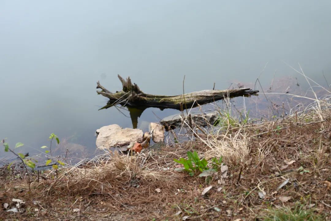陈海峰  影像纪实 / 东湖之上-4
