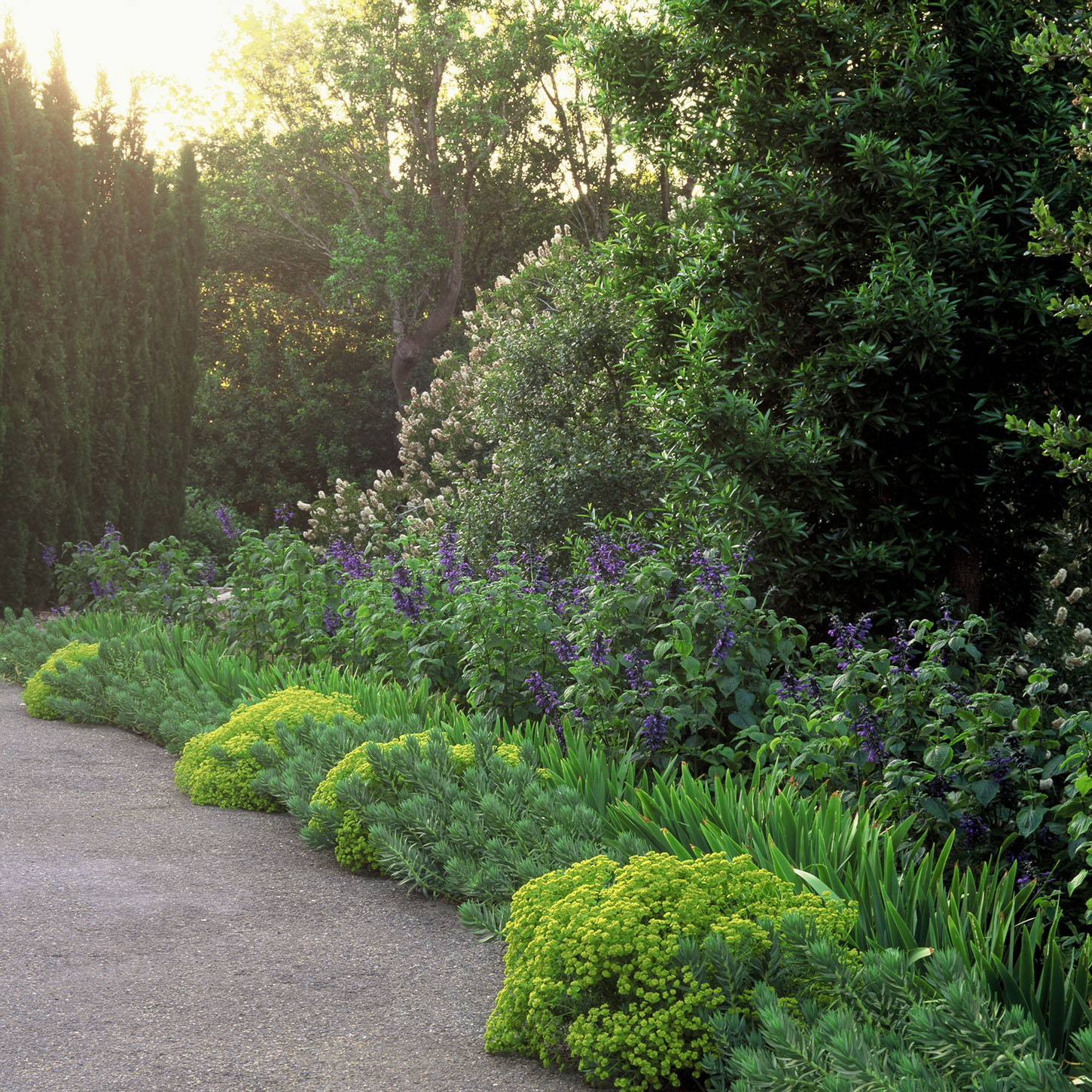 美国希尔斯伯勒住宅景观 hillsborough residence by Lutsko Associates Landscape-9