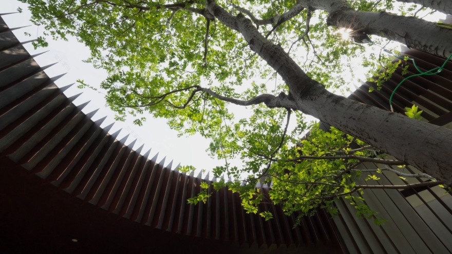 侨城北公园游客中心丨中国深圳丨一树建筑工作室-30