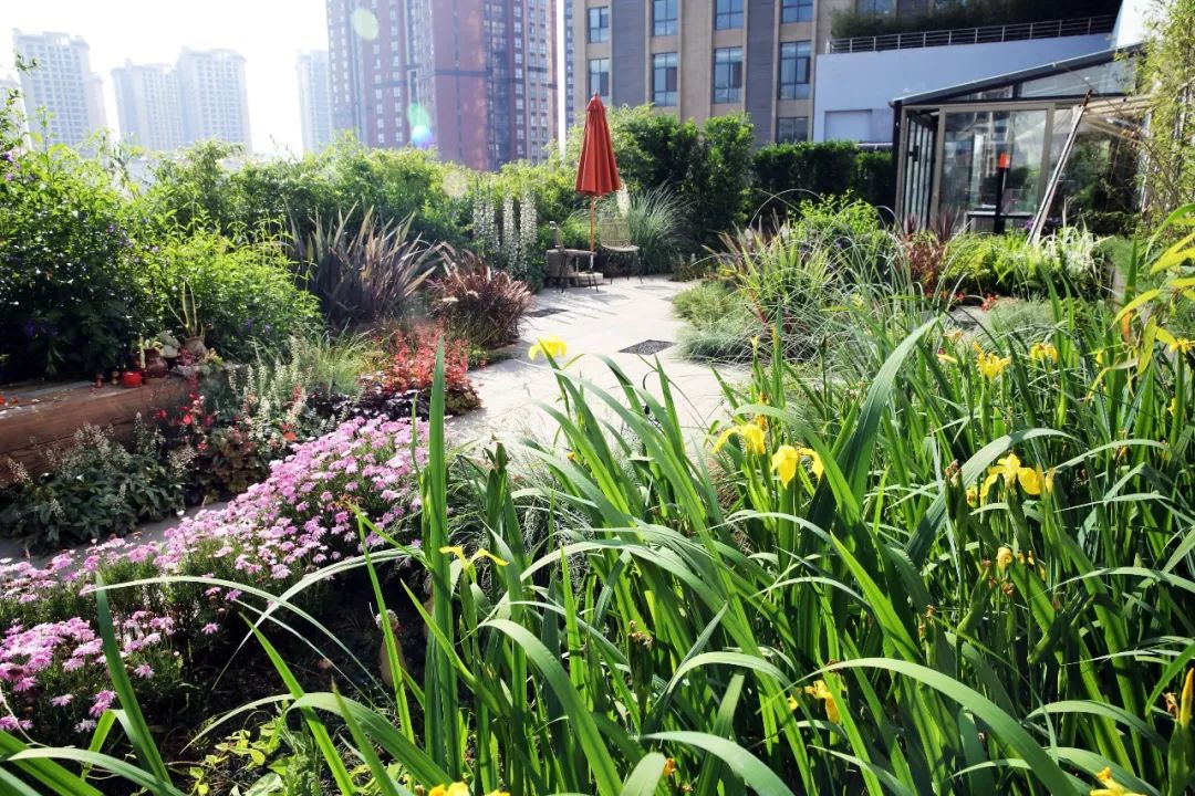 本木露台 | 自然浪漫的休闲空间-35