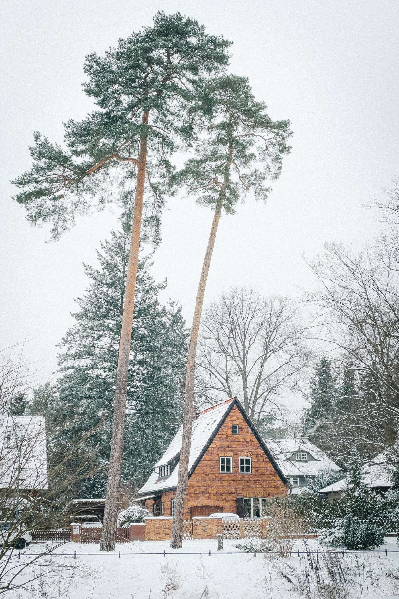 Anastasiya Gushchina丨桥丨XOXOberlin-7