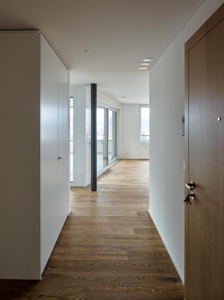 弗洛伦大街区域发展丨瑞士-12