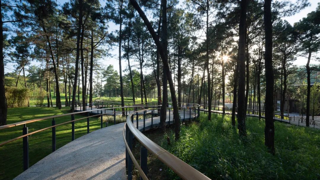 南京颐养中心丨中国南京丨LAURENT罗朗景观·JYL创研工作室-59