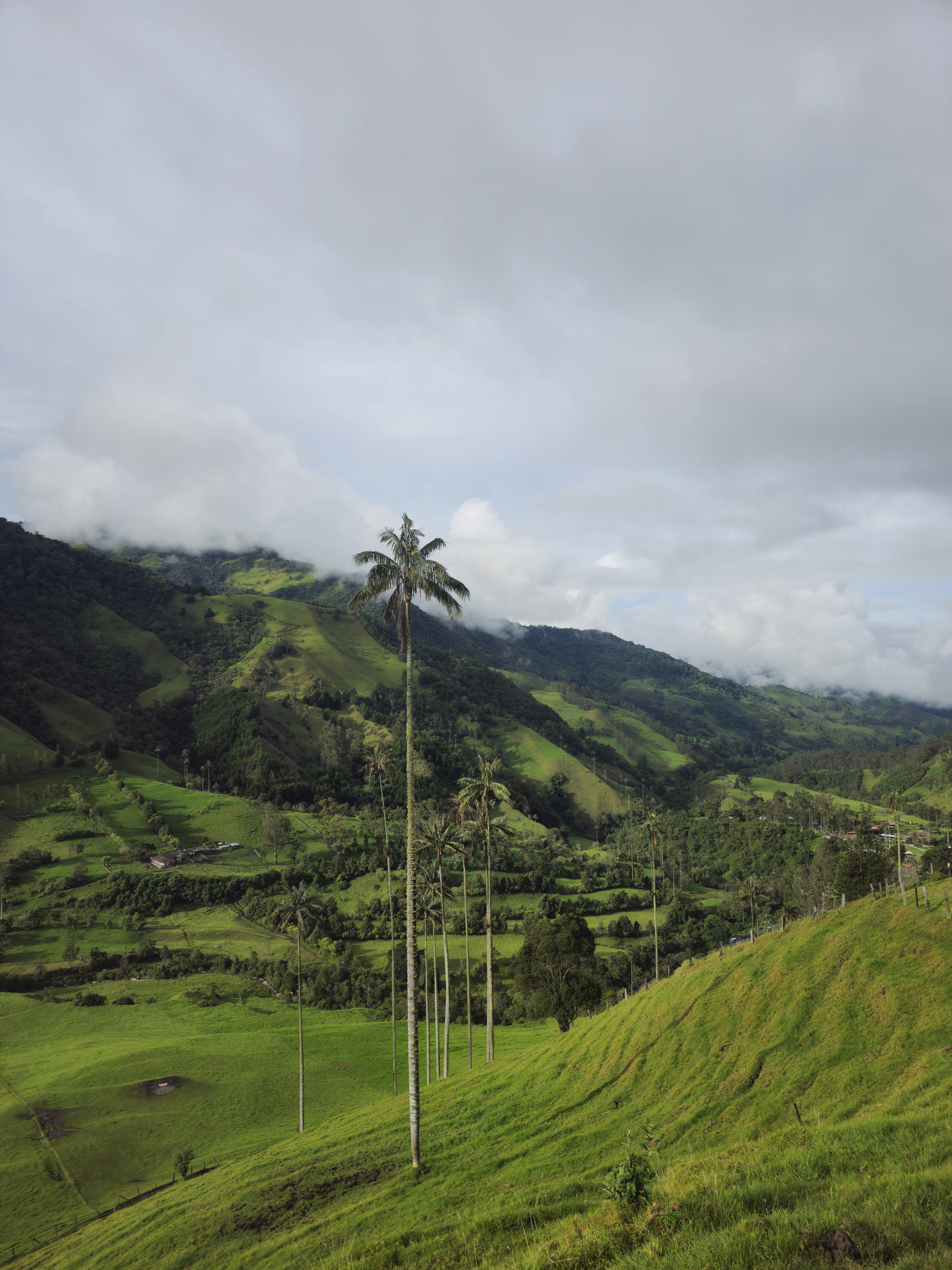 Colombia-8