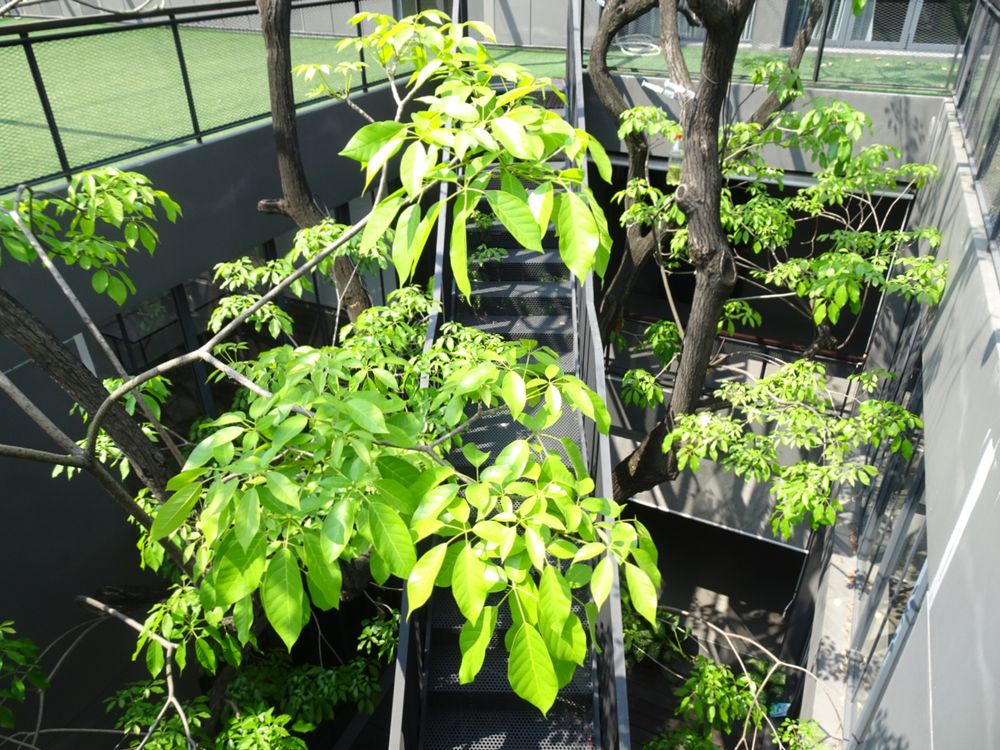 ナイイパ・アート・コンプレックス | タイ の建築【世界建築巡り】-54