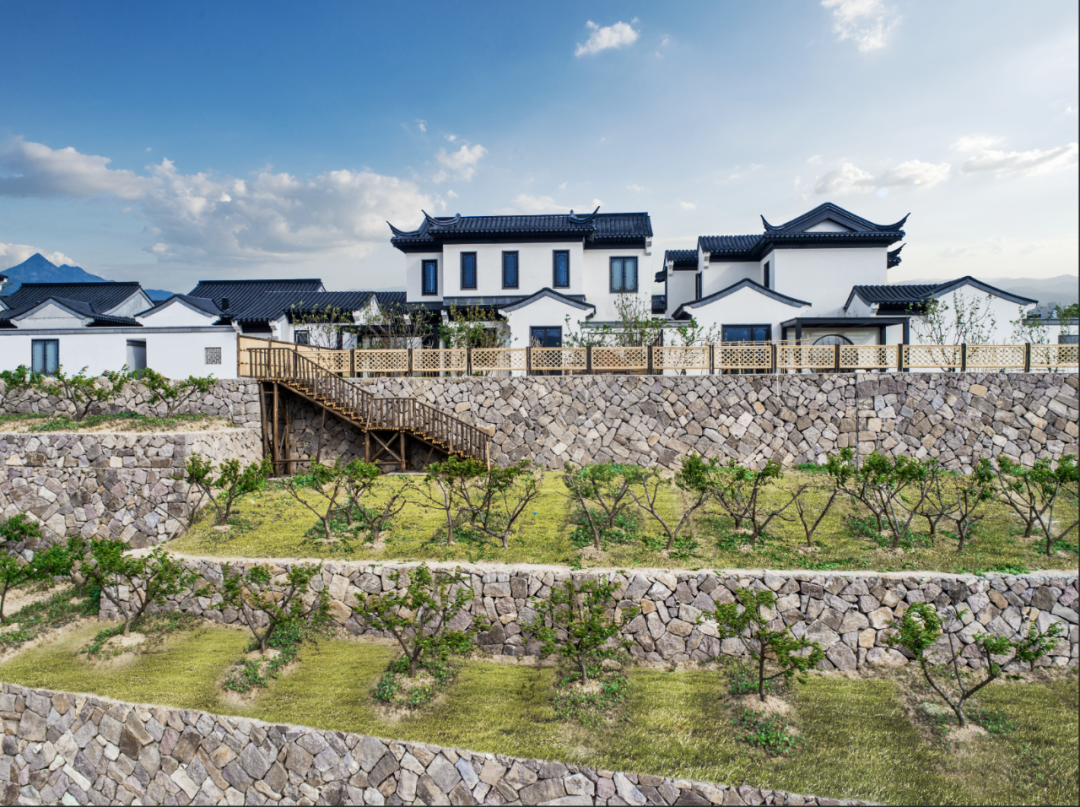 义乌·桃李春风-3