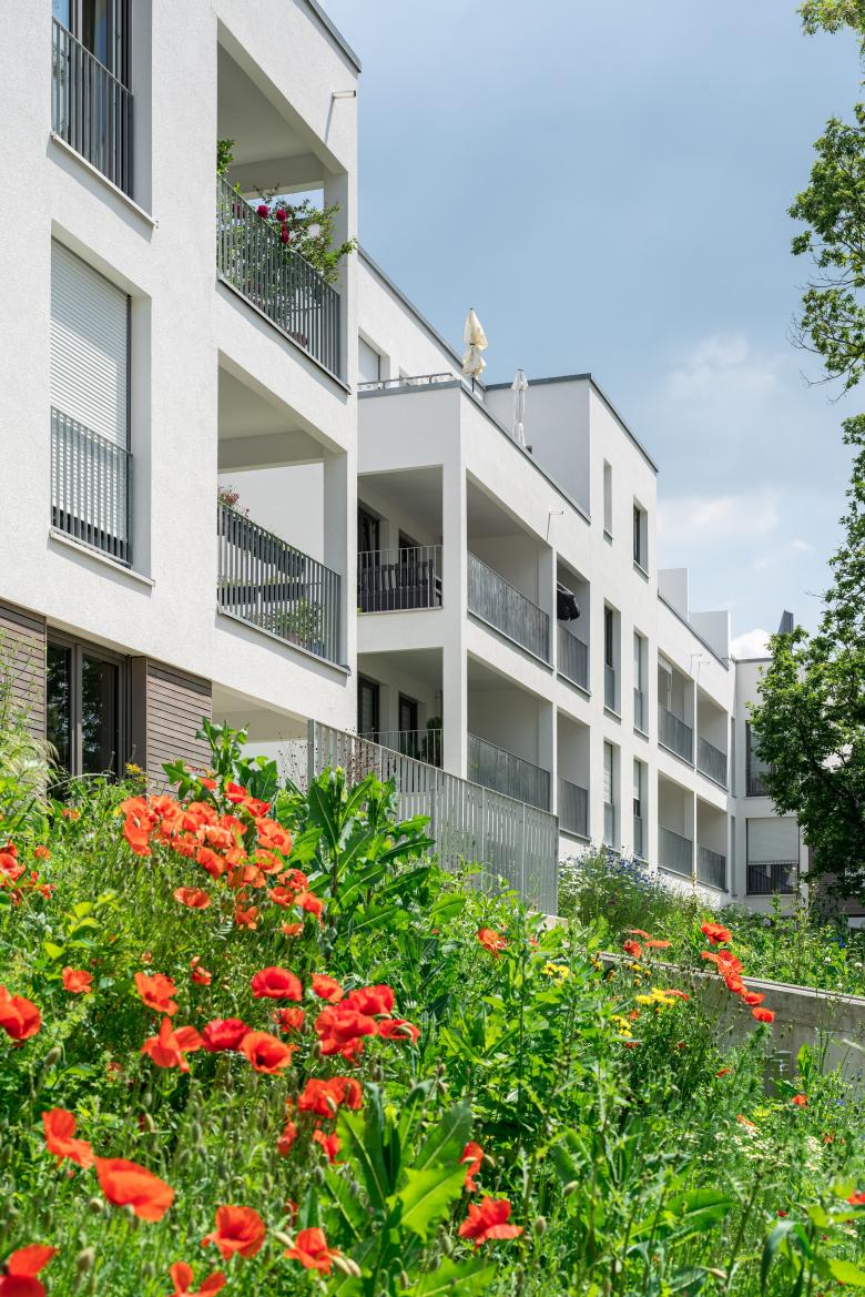 MOW Architekten GmbH丨Ökosiedlung Friedrichsdorf丨德国-0