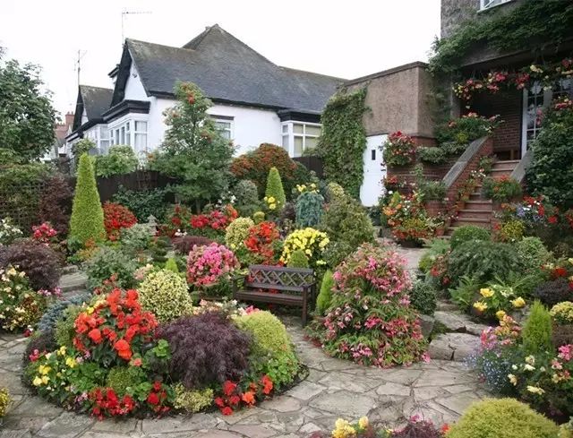 7旬夫妻用24年建绝美花园 全球花友慕名来“探花”-43