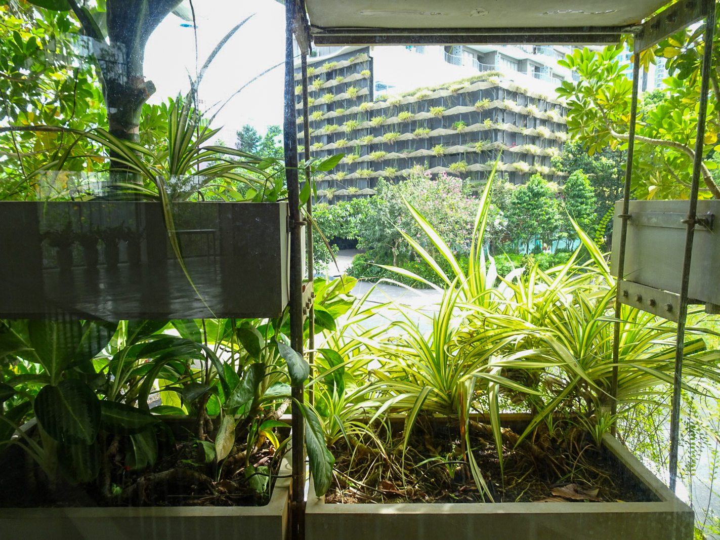 アーバン・ファーミング・オフィス | ベトナム の建築【世界建築巡り】-62