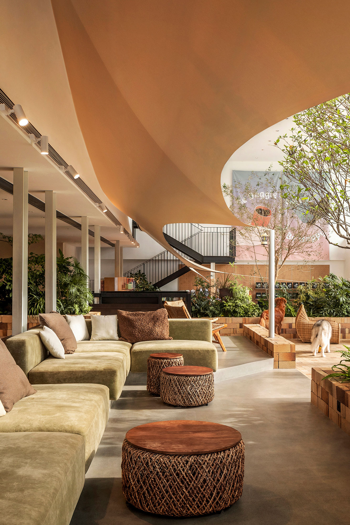 咖啡店丨中国深圳丨Pure & Wild Studio朴野设计-4