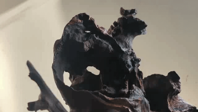 玲珑太湖石 | 自然之美的室内设计演绎-27