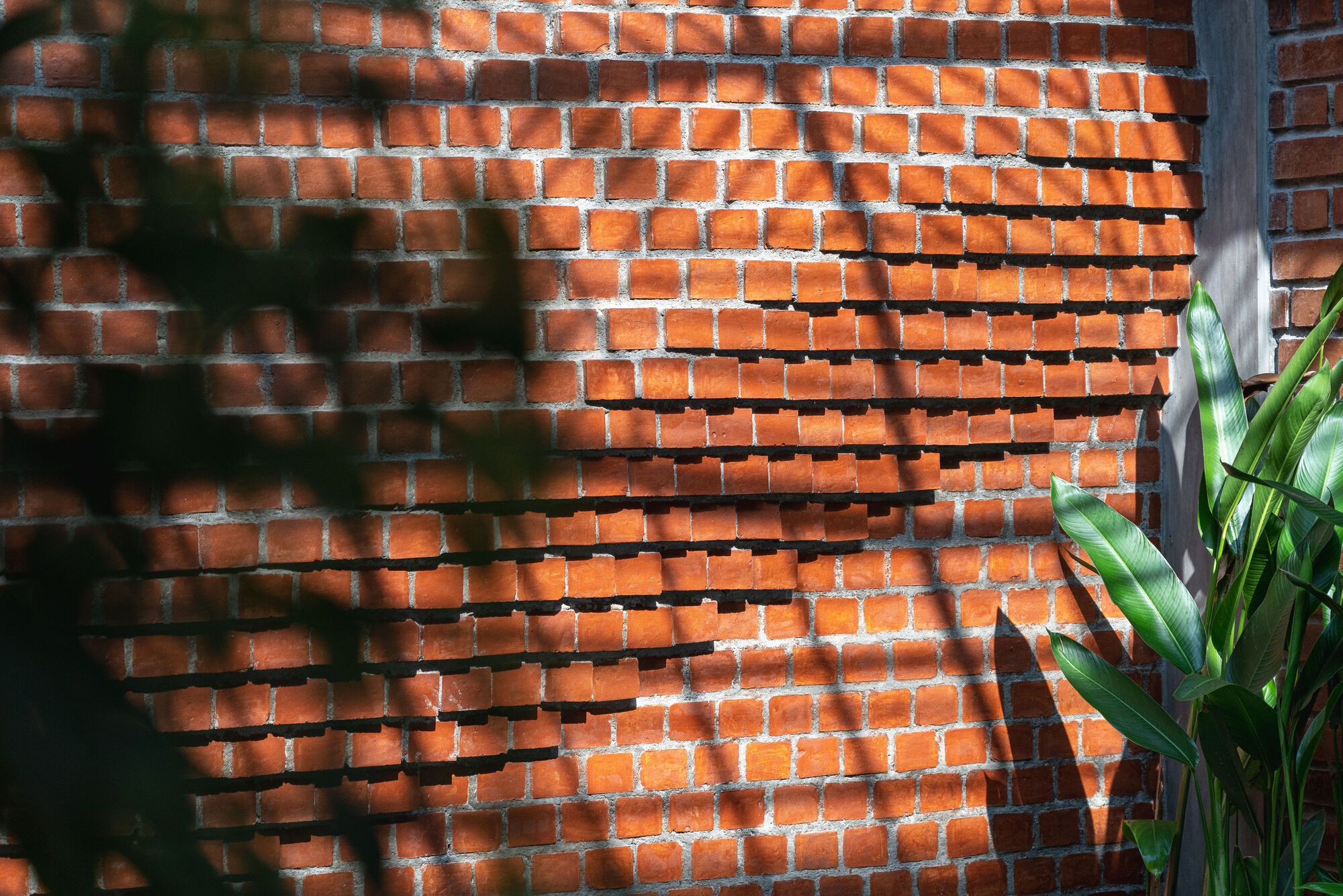 VIPA 农庄丨印度丨Studio One By Zero-38