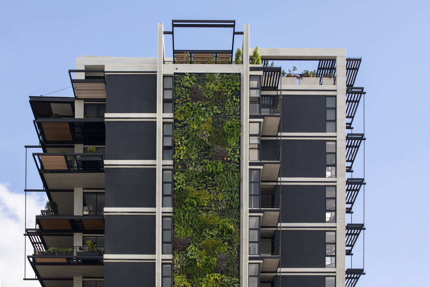 垂直绿洲 · 哥斯达黎加 San José 的 Gardenia 公寓丨Studio Saxe-37