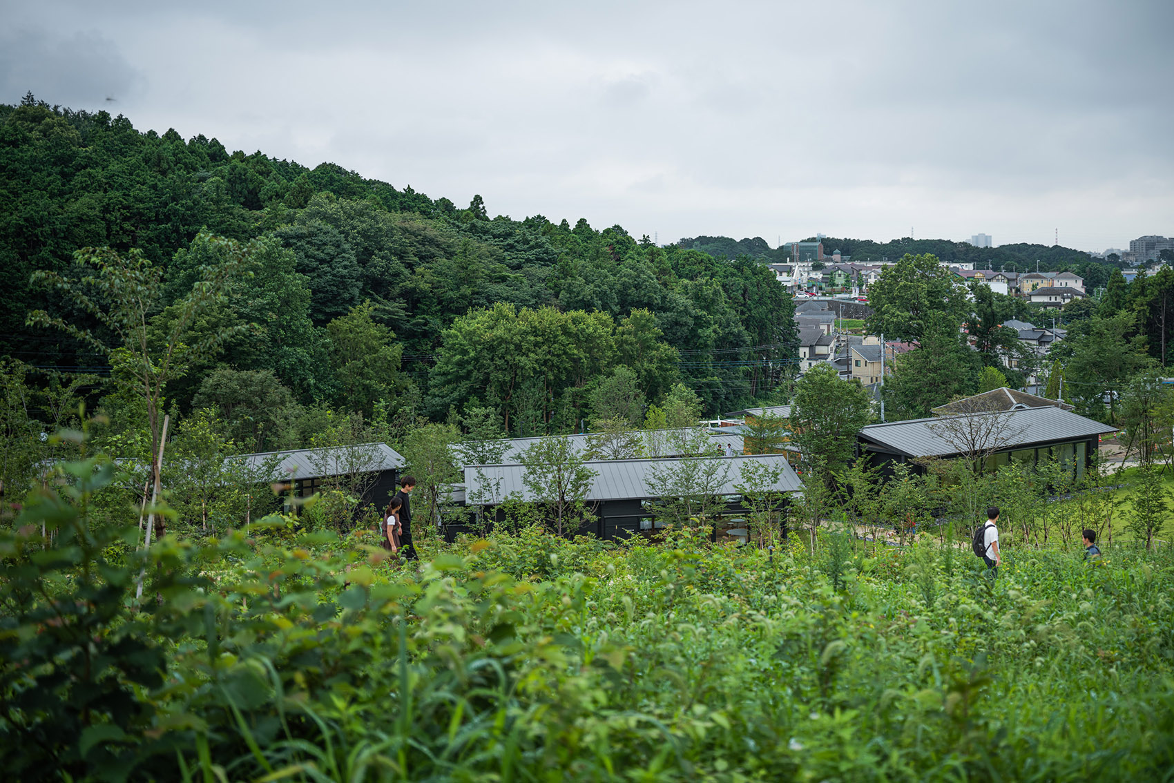 町田药师池公园“四季彩之森”游客中心丨日本-11