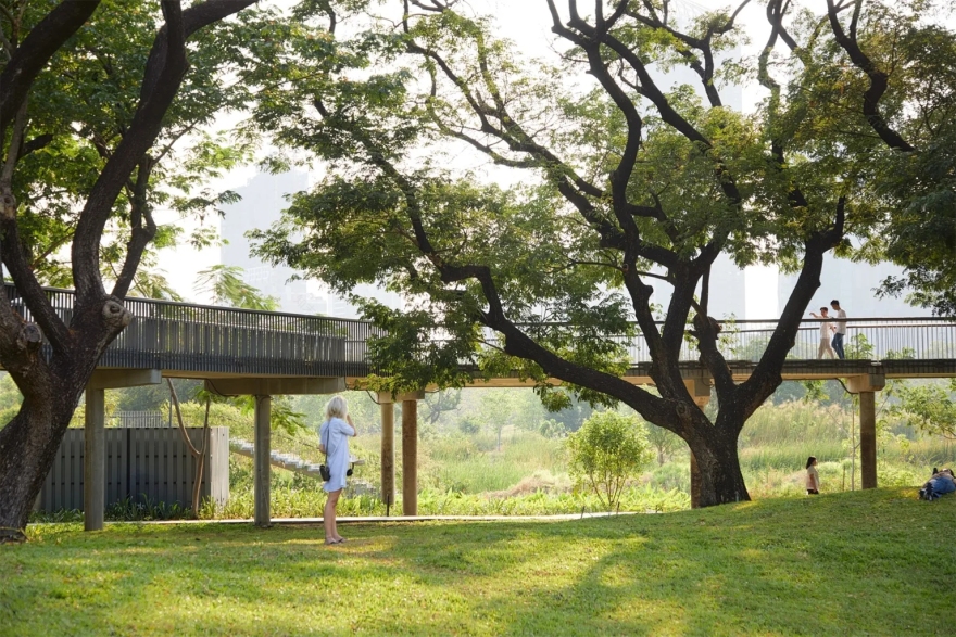 曼谷班加科特森林公园丨泰国曼谷丨土人景观-15