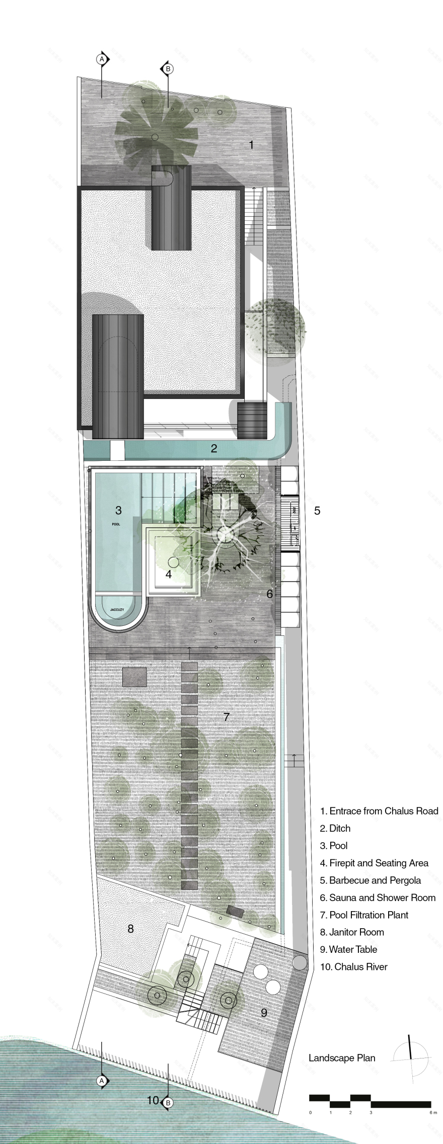 A House Looking to A Cedrus Tree / Cedrus Studio-45