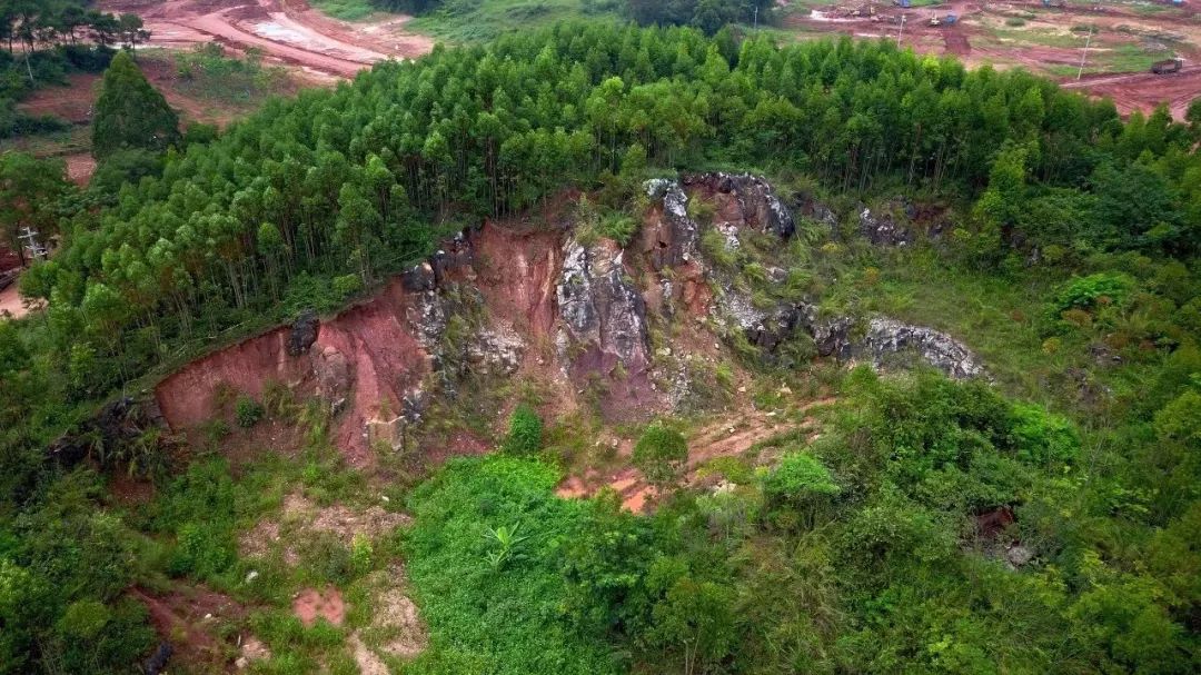 南宁罗汉松园 | 写意山水与天人合一的现代园林-45