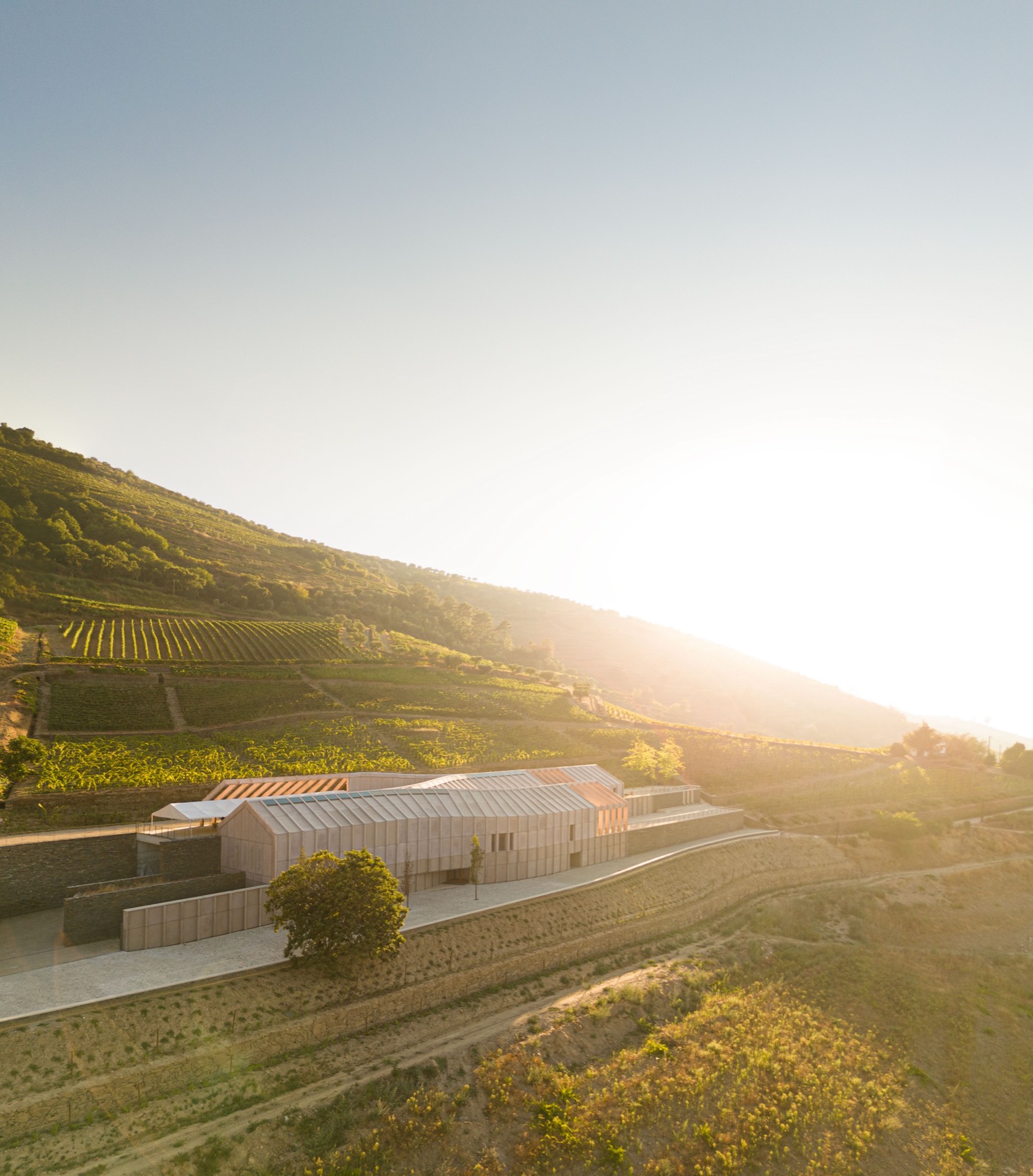 Quinta de Adorigo酒庄丨葡萄牙杜罗丨Atelier Sergio Rebelo等多家团队及个人-158