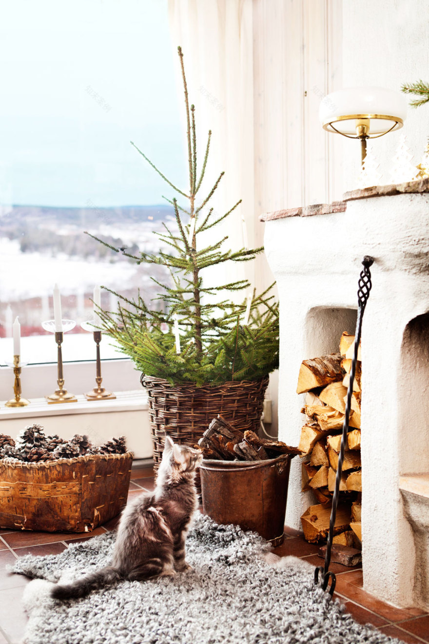 Очаровательный рождественский дом | 12 фото-9