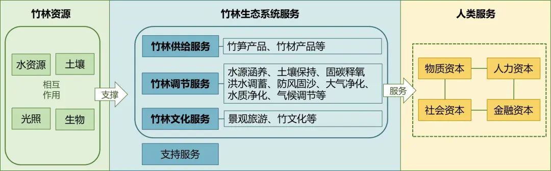 竹林资源生态产品价值实现路径丨中国重庆丨西南分院-5