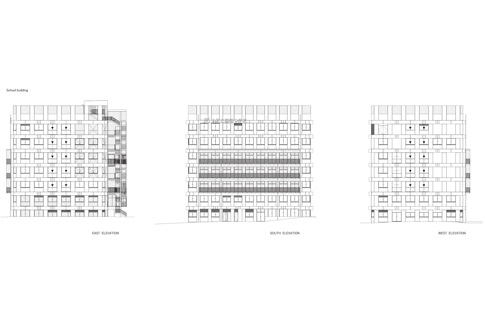 田畑初中丨日本东京丨Coelacanth K&H Architects-20