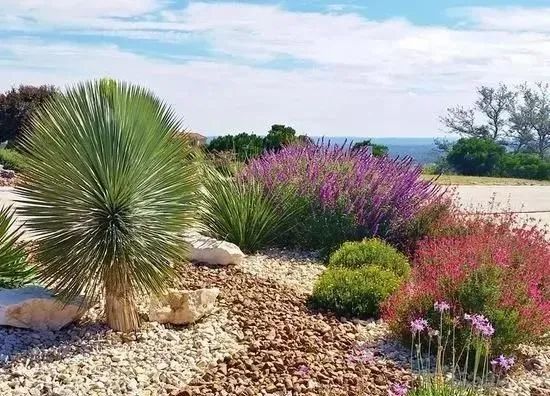 庭院花境中的土壤覆盖物设计与应用-5