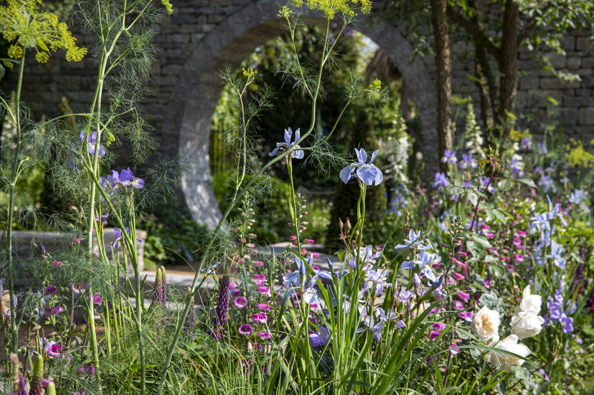 2024切尔西花园展获奖作品丨英国丨Royal Horticultural Society-353