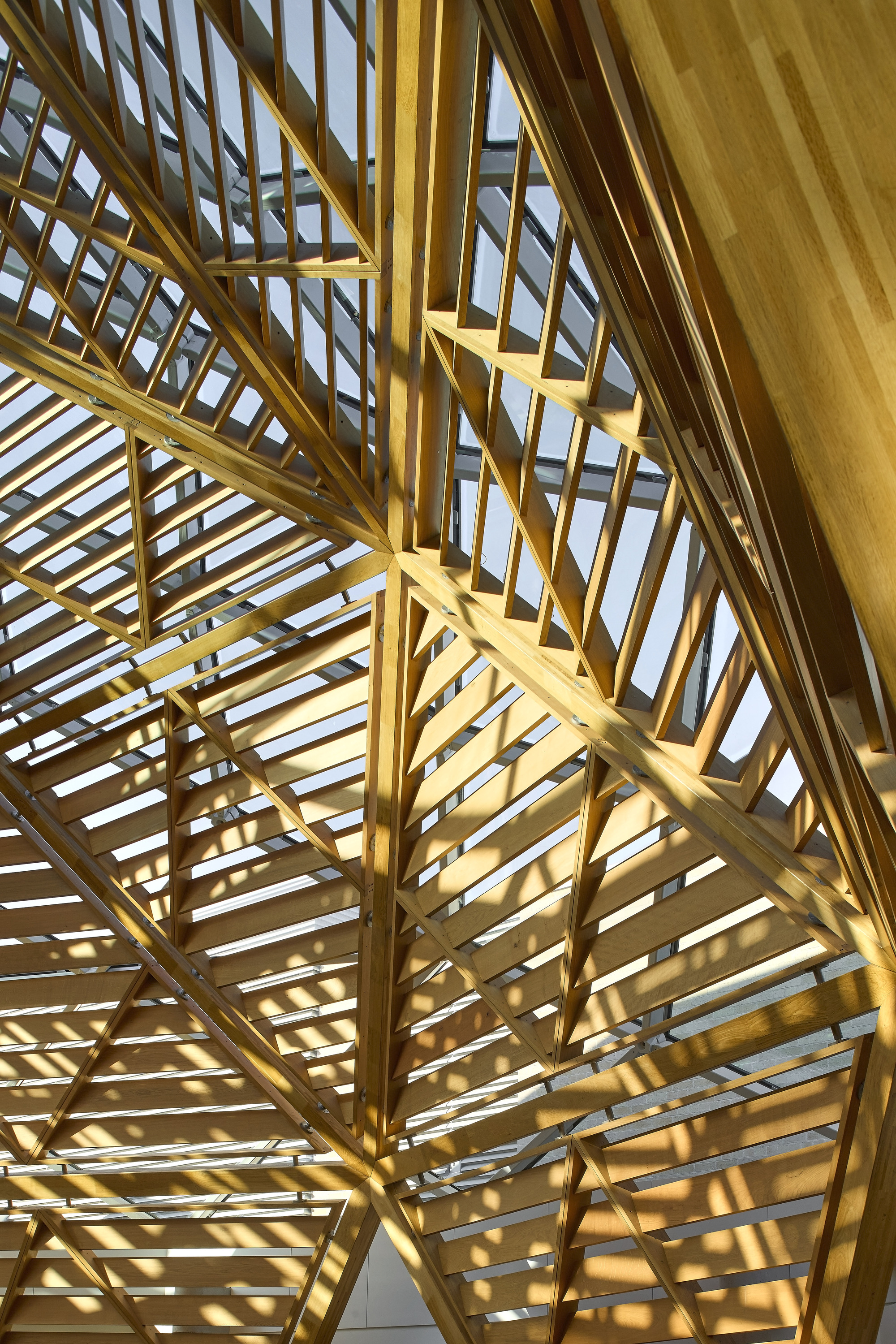 Schwarzman Center for the Humanities - University of Oxford / Hopkins Architects-49