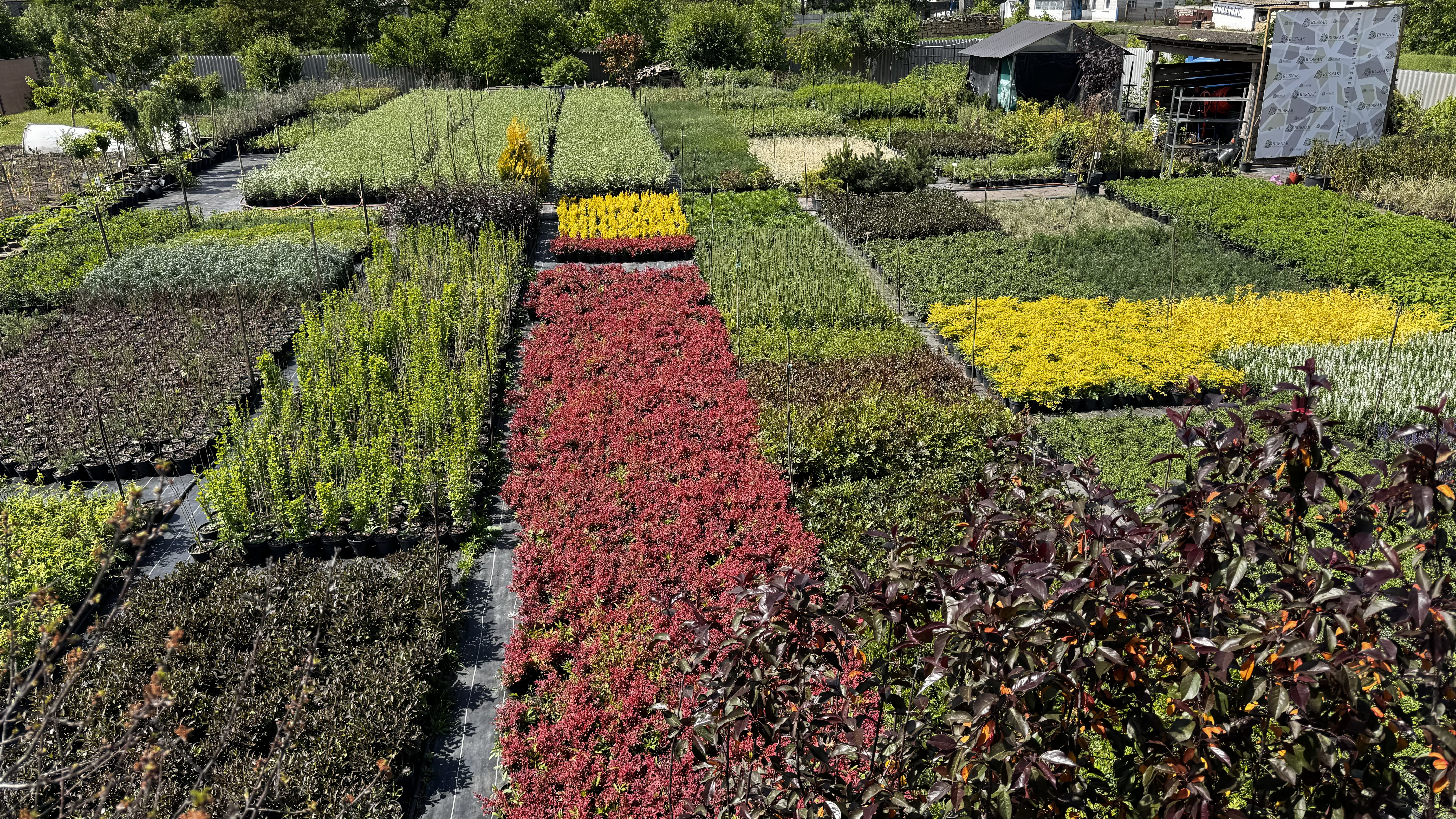 PLANTS NURSERY（植物苗圃）-4