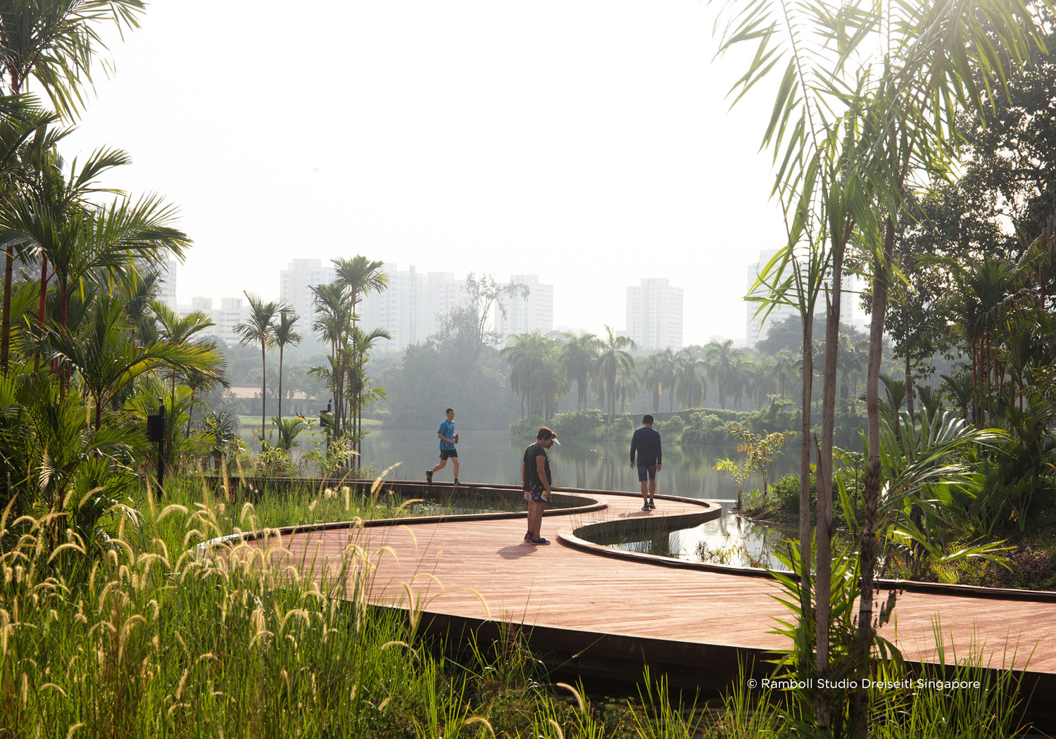 新加坡 Lakeside Garden · 寓教于乐的湿地生态公园-12