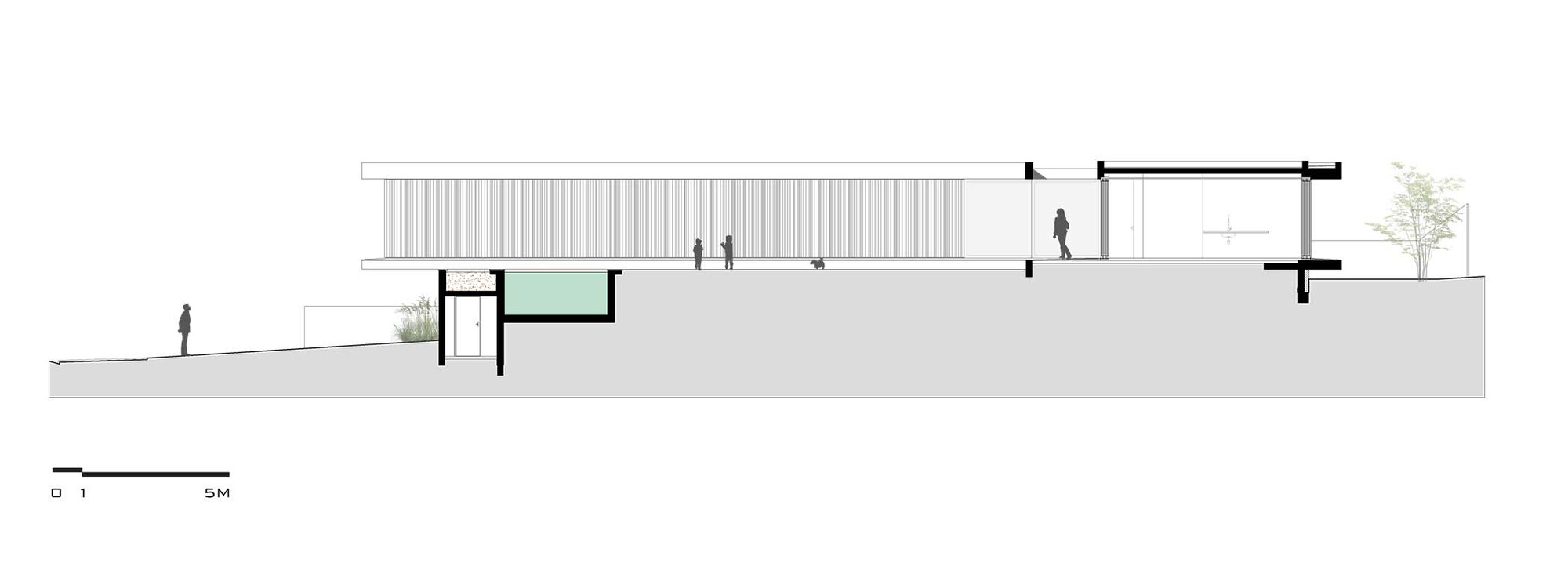 摇摆屋丨巴西丨lb+mr-50