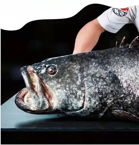 永记深海鱼粥丨中国厦门丨陈良-0