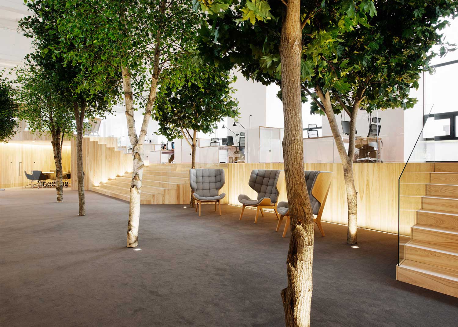 明亮的夏天森林 塔林, 爱沙尼亚-14