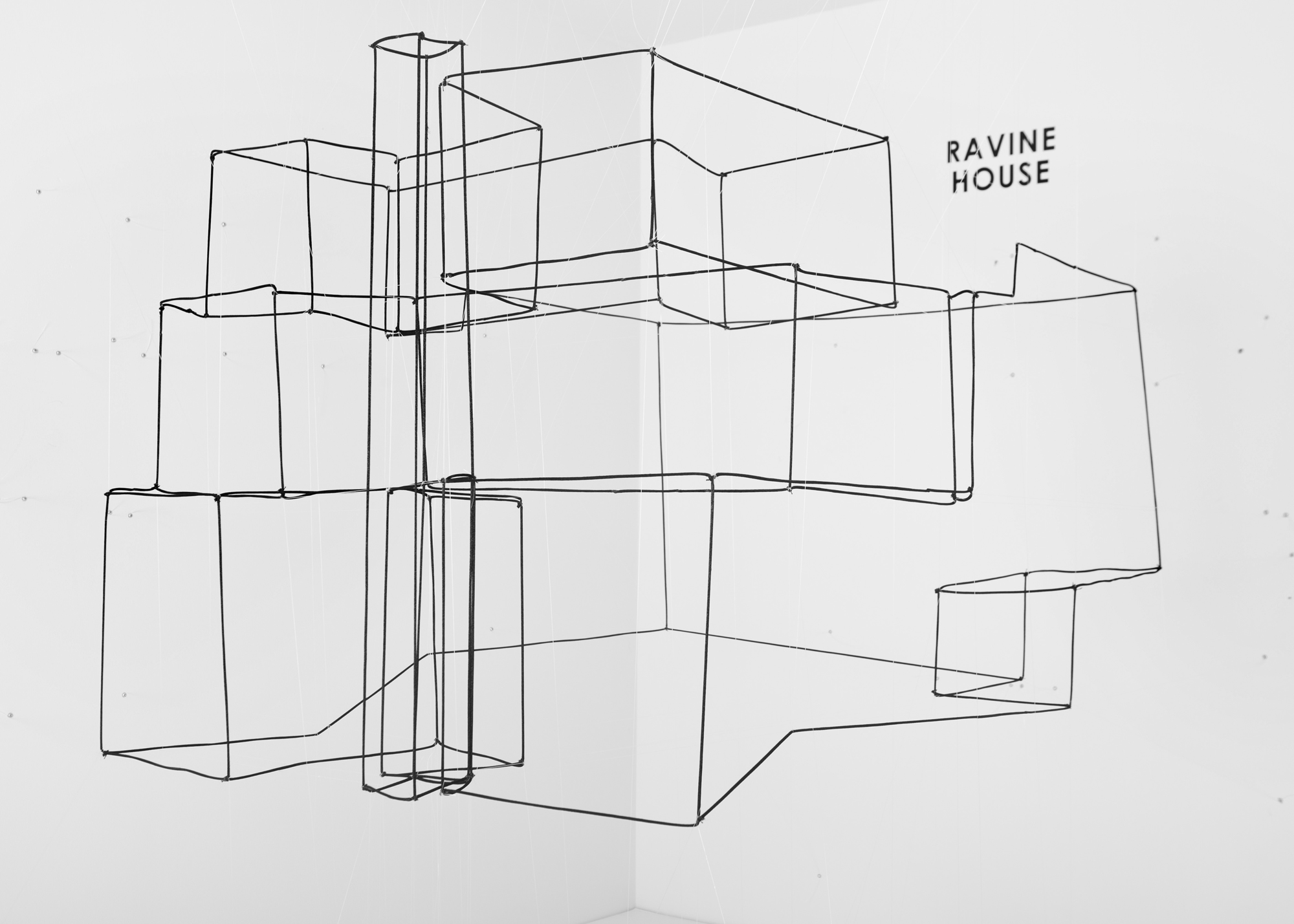 “Beyond Lines” Exhibition-5