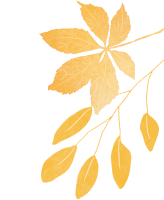 首都国企开放日丨近观医养结合新图景-25