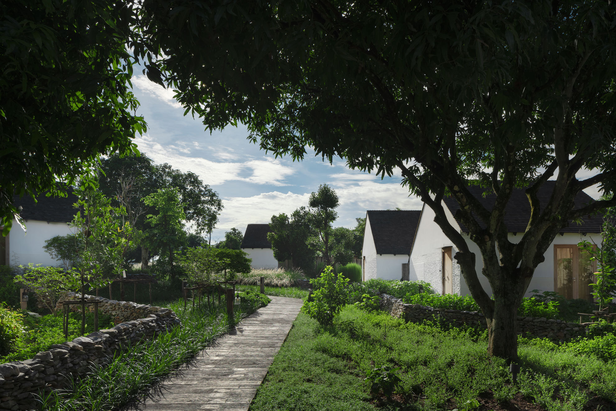 泰国鲁赫·奇莉·考艾酒店(Roukh Kiri Khao Yai Hotel)(2020)(Onion)设计-46