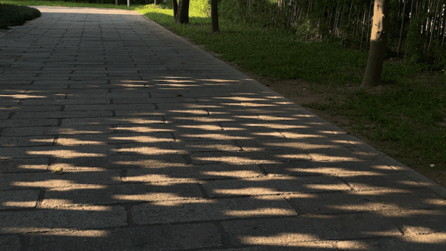 「红」•经典潮菜(深圳店)丨中国深圳丨AD 艾克建筑设计-15