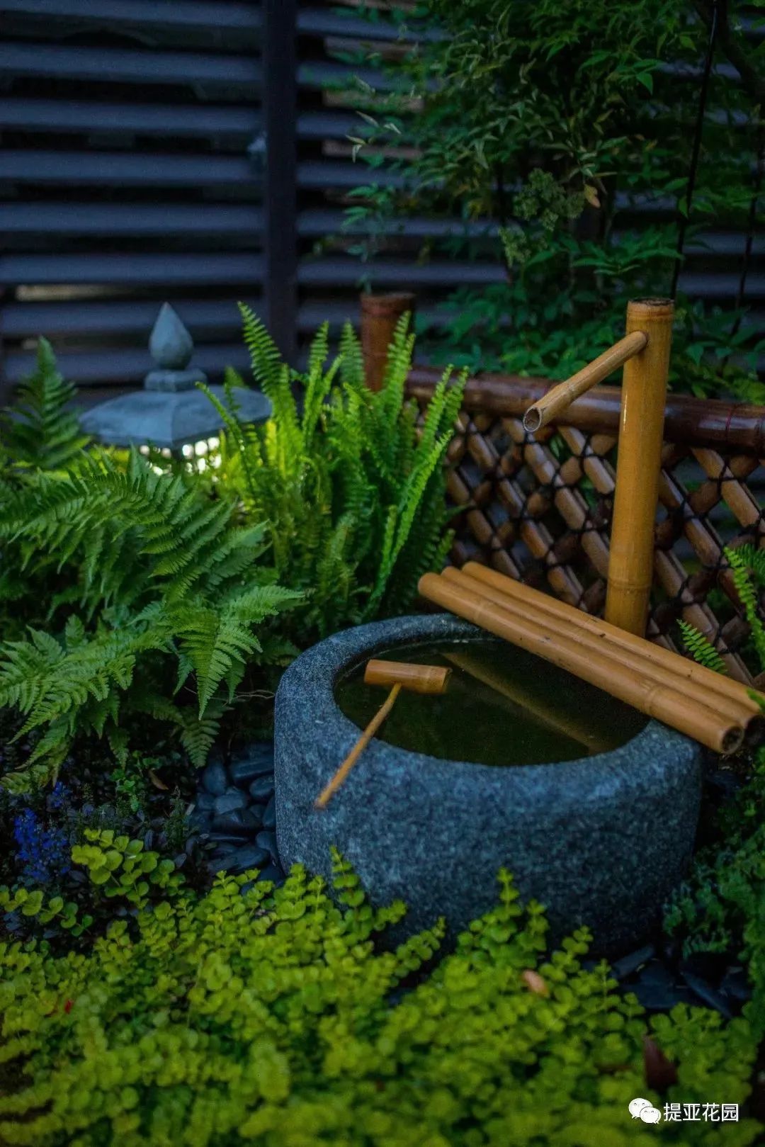 聆湖轩50号别墅花园设计丨中国宁波丨提亚生态科技(浙江)有限公司-50