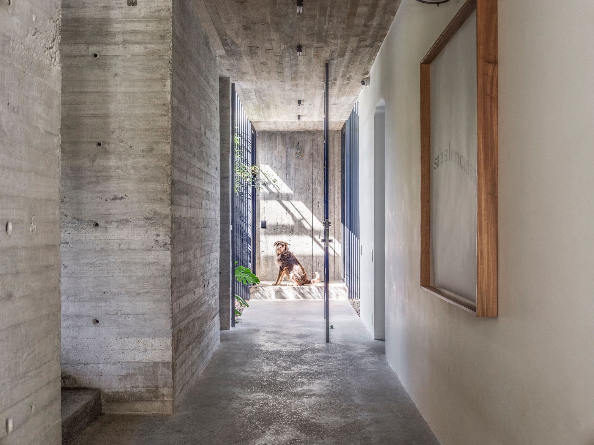 FBL 之家丨巴西圣保罗丨Claudia Haguiara Arquitetura,HGMA-17