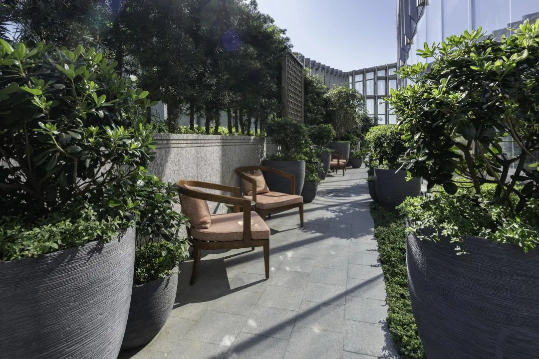 广州东塔(周大福金融中心)丨中国广州丨泰国P Landscape,普邦设计-94