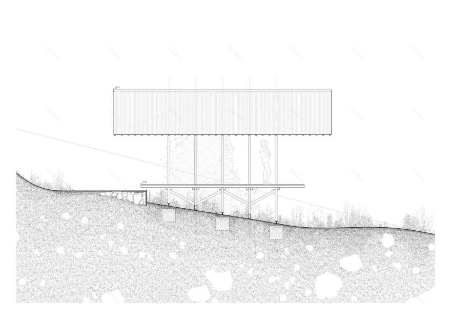 Taller Agropoetico - Foresta Collective / Atelier Poem-19