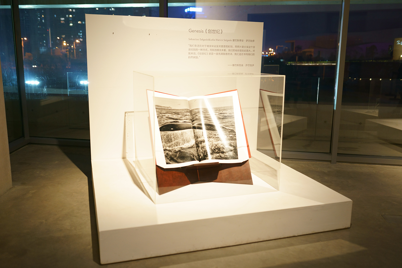 当代书籍展览丨谢子龙影像艺术馆-14