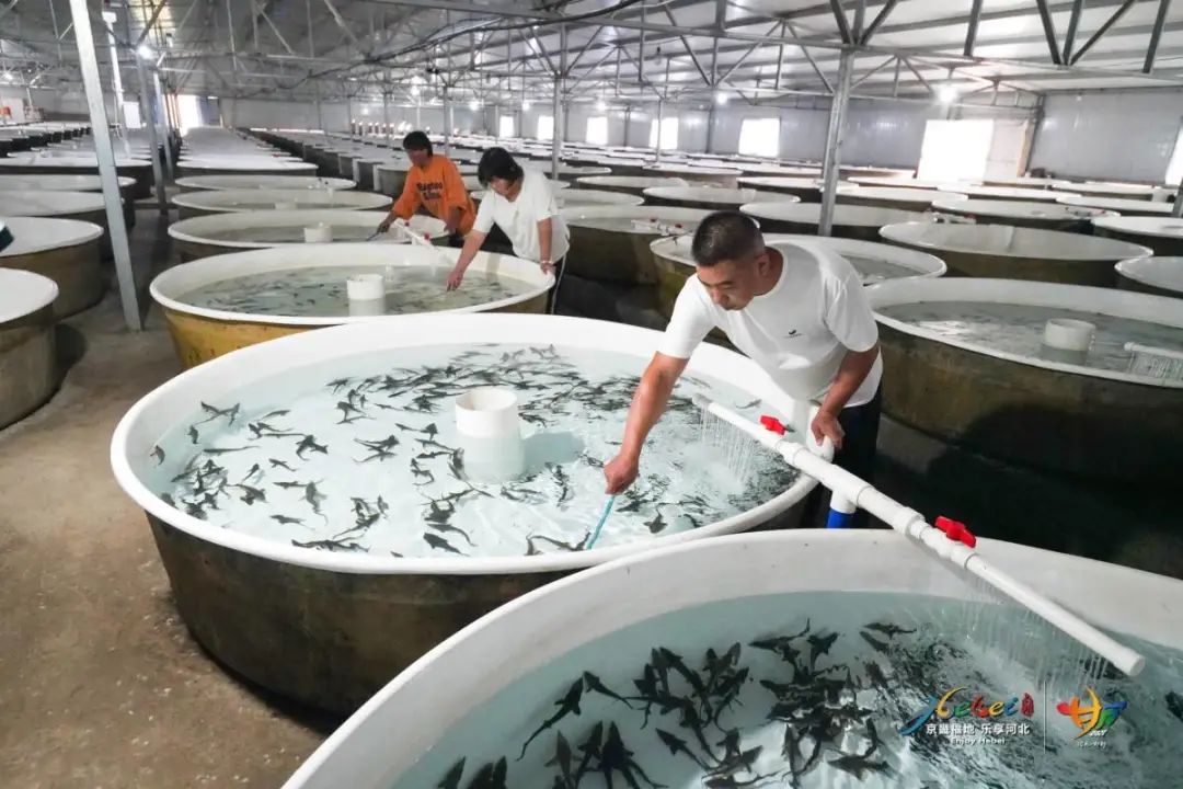 太行红河谷文化旅游经济带特色小镇建设丨城乡与风景园林规划设计研究院-44