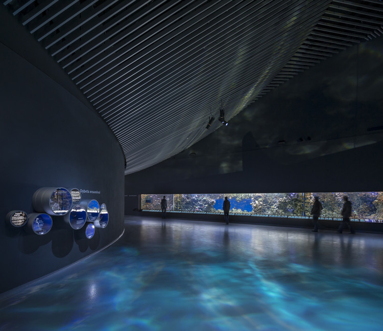 蓝色星球(The Blue Planet)-24