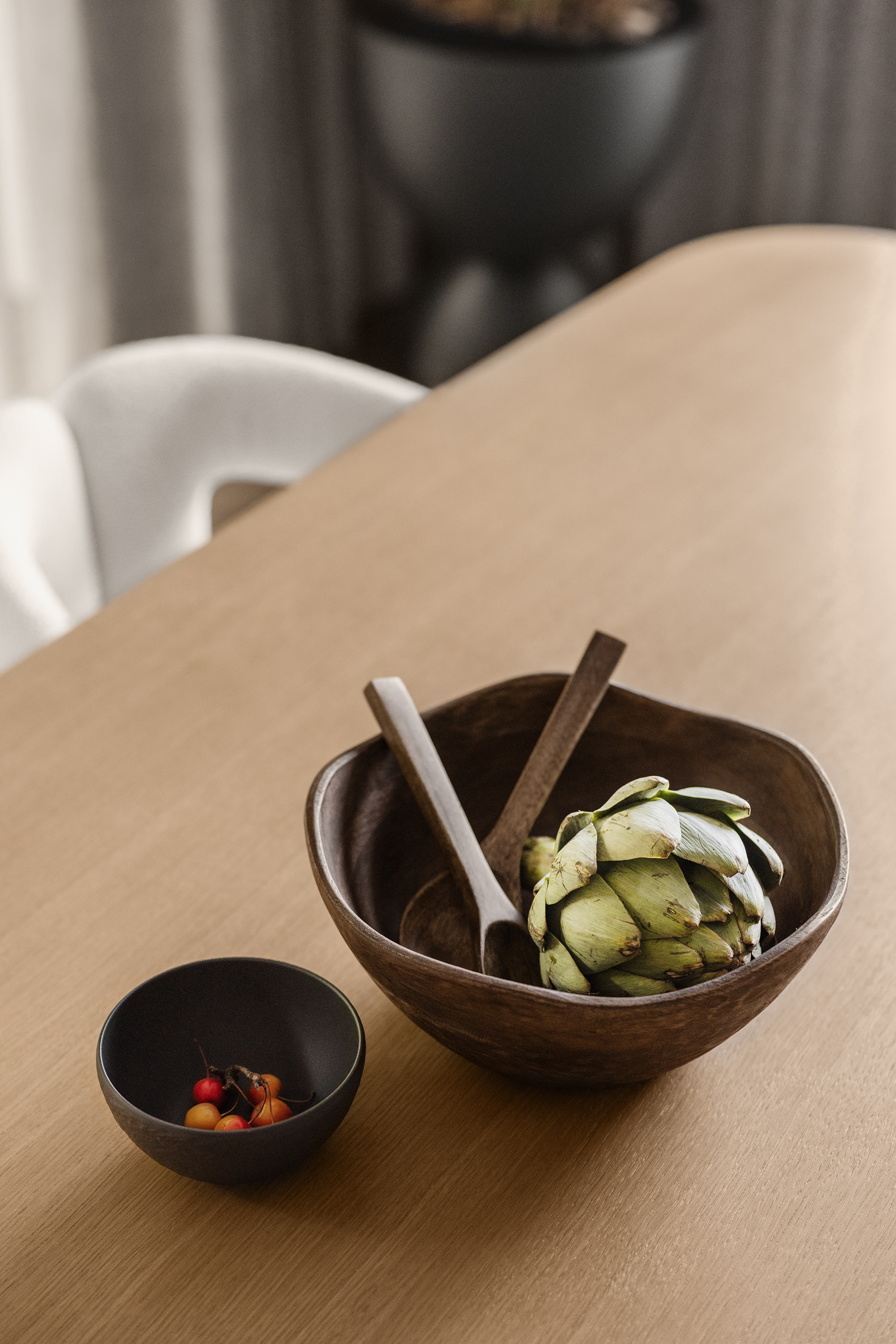 科洛尼别墅丨瑞士丨Bogdanova Architects-40