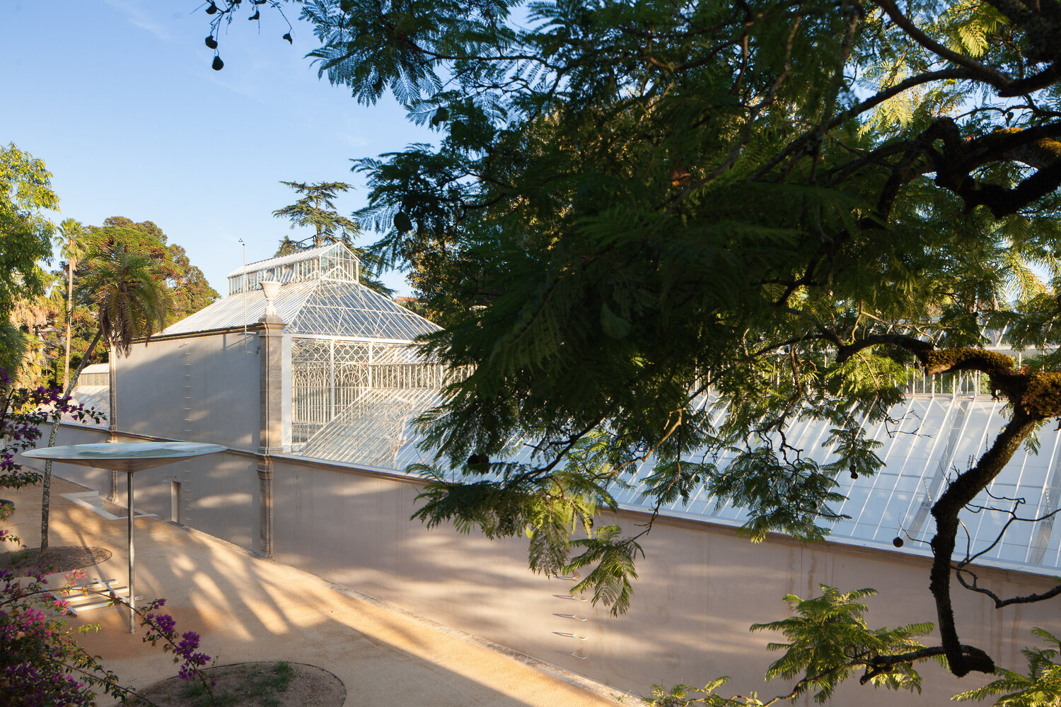 科英布拉大学植物园热带温室丨意大利布拉丨若昂·门德斯·里贝罗-12