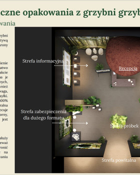 蘑菇菌丝体包装制造商展览亭开发丨Svitlana Yakovleva