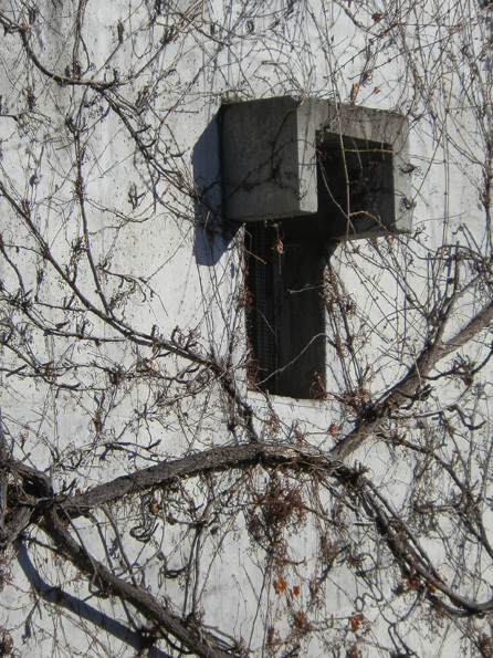 Alelier 5(以Halen定居点为代表)丨瑞士丨瑞士“Atelier 5”工作室-25