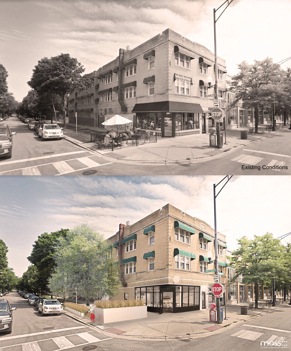 Dollop Coffee | moss Design-6