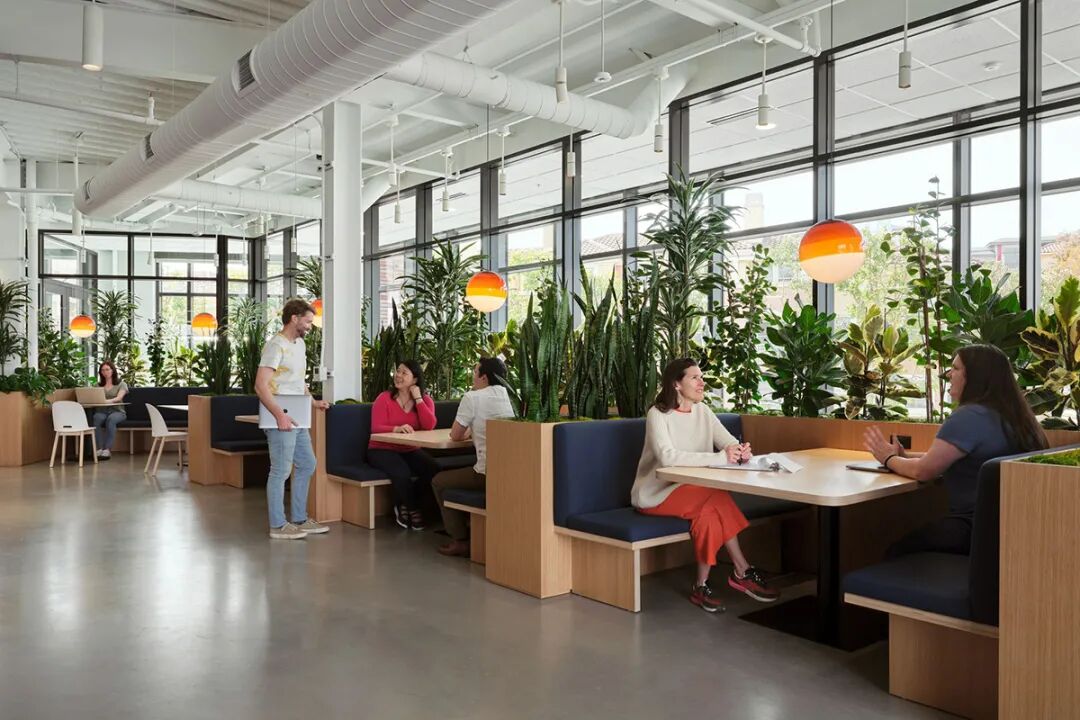 美国慈善组织总部设计丨Bohlin Cywinski Jackson-30